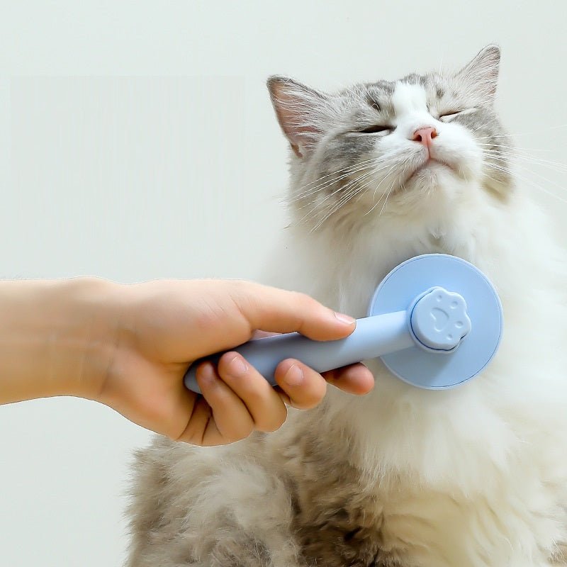 Pet Hair Removal Comb - PicklyCart863cf659b4631069d3e7561d0789b88bBlue