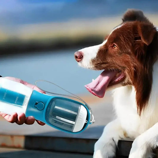 3 - in - 1 Portable Pet Travel Bottle 🐾 - PicklyCart3 - in - 1 Portable Pet Travel Bottle 🐾300ml Garbage Bag