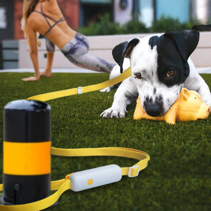 Pet Supplies Retractable Adjustable Dog Leash - PicklyCart6d4b4301f2b934d36cac63d99e35f69cGreen