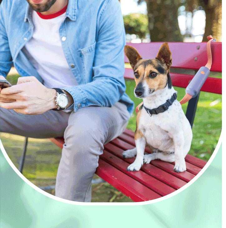 Pet Supplies Retractable Adjustable Dog Leash - PicklyCart5efebf9222b9c752fc3031e4b1640420White