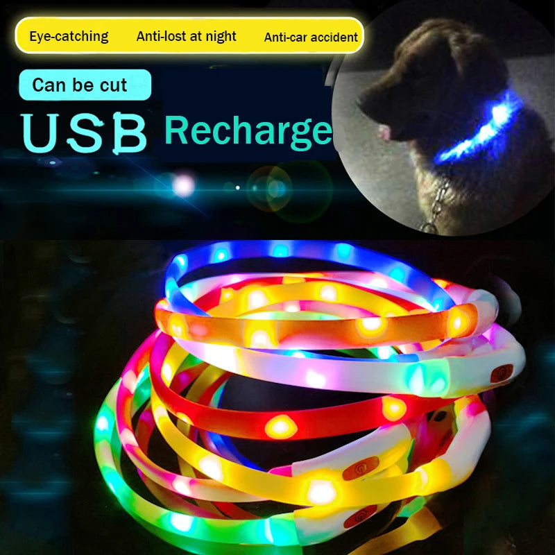 USB Rechargeable LED Dog Collar