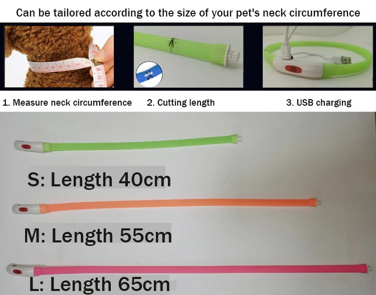 USB Rechargeable LED Dog Collar