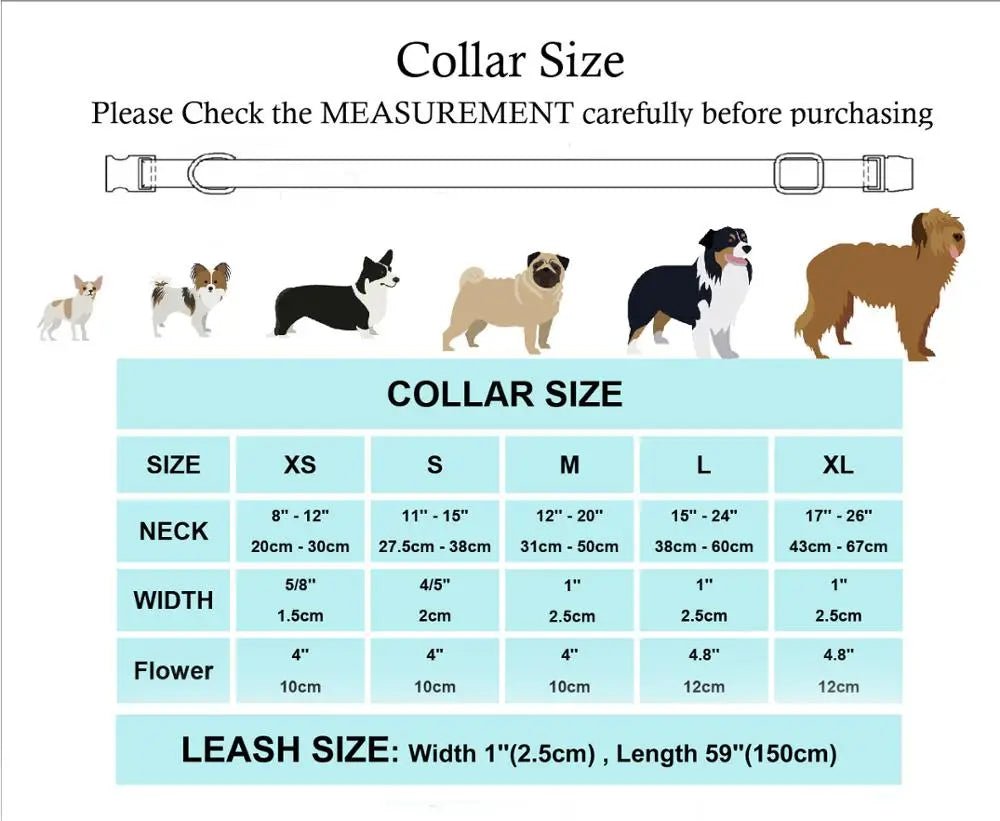 Blue Floral Collar & Leash Set - PicklyCartBlue Floral Collar & Leash Setleash only