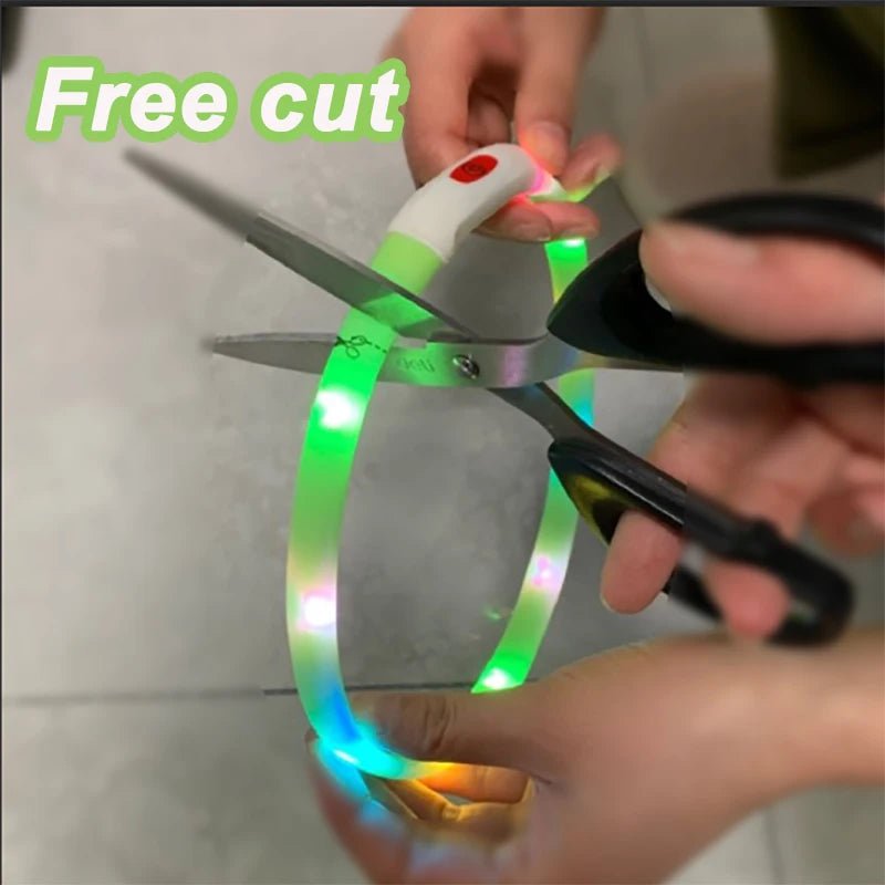 USB Rechargeable LED Dog Collar - PicklyCartUSB Rechargeable LED Dog Collarcolorful