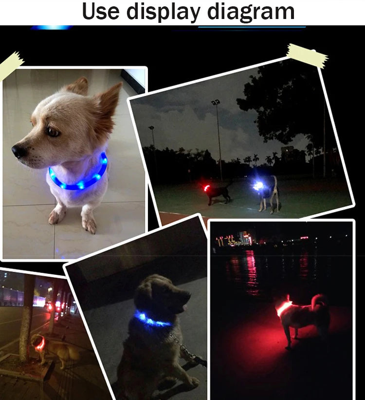 USB Rechargeable LED Dog Collar