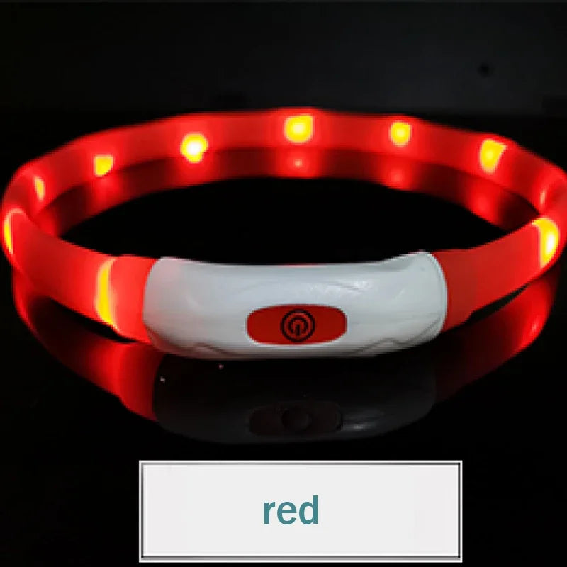 USB Rechargeable LED Dog Collar