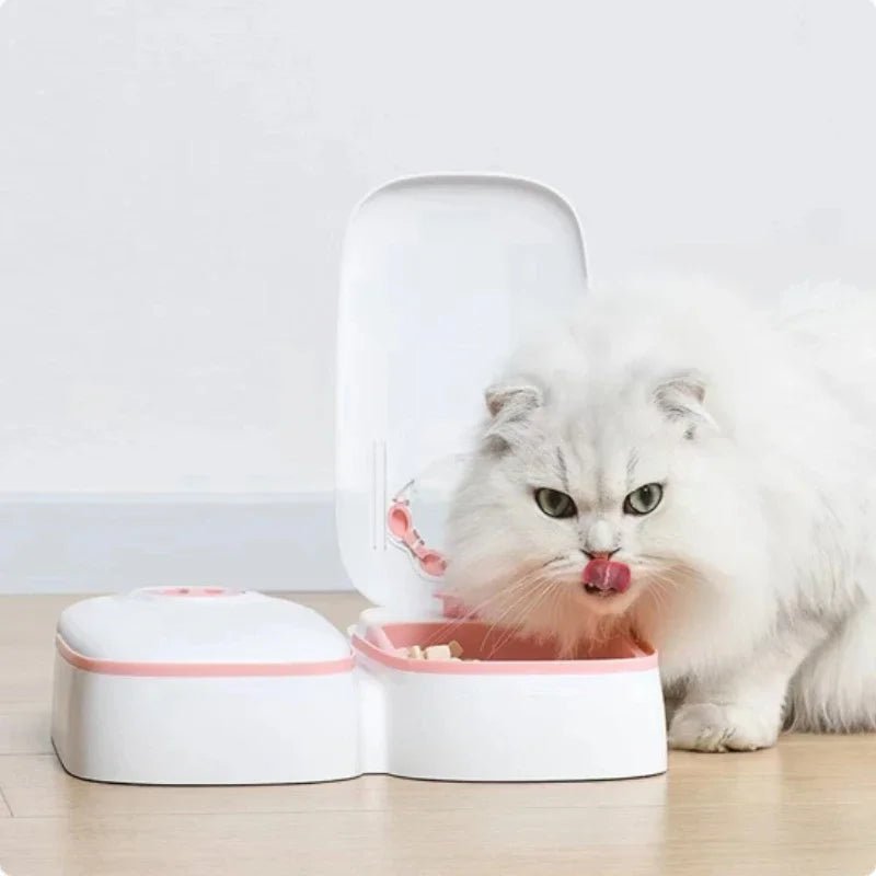 Dog Feeder Cat Automatic Feeding Water Bowl with Timer Pet Food Storage Dispenser Container Pets Puppy Kitten Accessories - PicklyCartDog Feeder Cat Automatic Feeding Water Bowl with Timer Pet Food Storage Dispenser Container Pets Puppy Kitten Accessoriesgrey