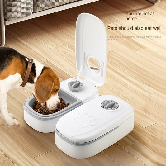 Dog Feeder Cat Automatic Feeding Water Bowl with Timer Pet Food Storage Dispenser Container Pets Puppy Kitten Accessories - PicklyCartDog Feeder Cat Automatic Feeding Water Bowl with Timer Pet Food Storage Dispenser Container Pets Puppy Kitten Accessoriesgrey