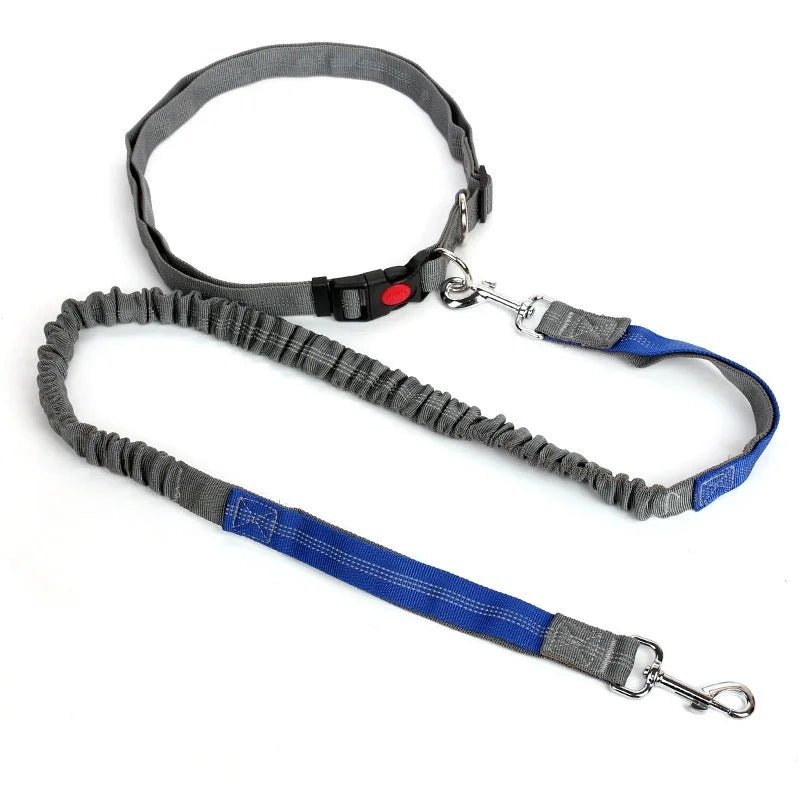 Adjustable Retractable Dog Leash Multi - functional Sports Traction Rope Hands - free Running Reflective Bungee Design - PicklyCartAdjustable Retractable Dog Leash Multi - functional Sports Traction Rope Hands - free Running Reflective Bungee Designblue