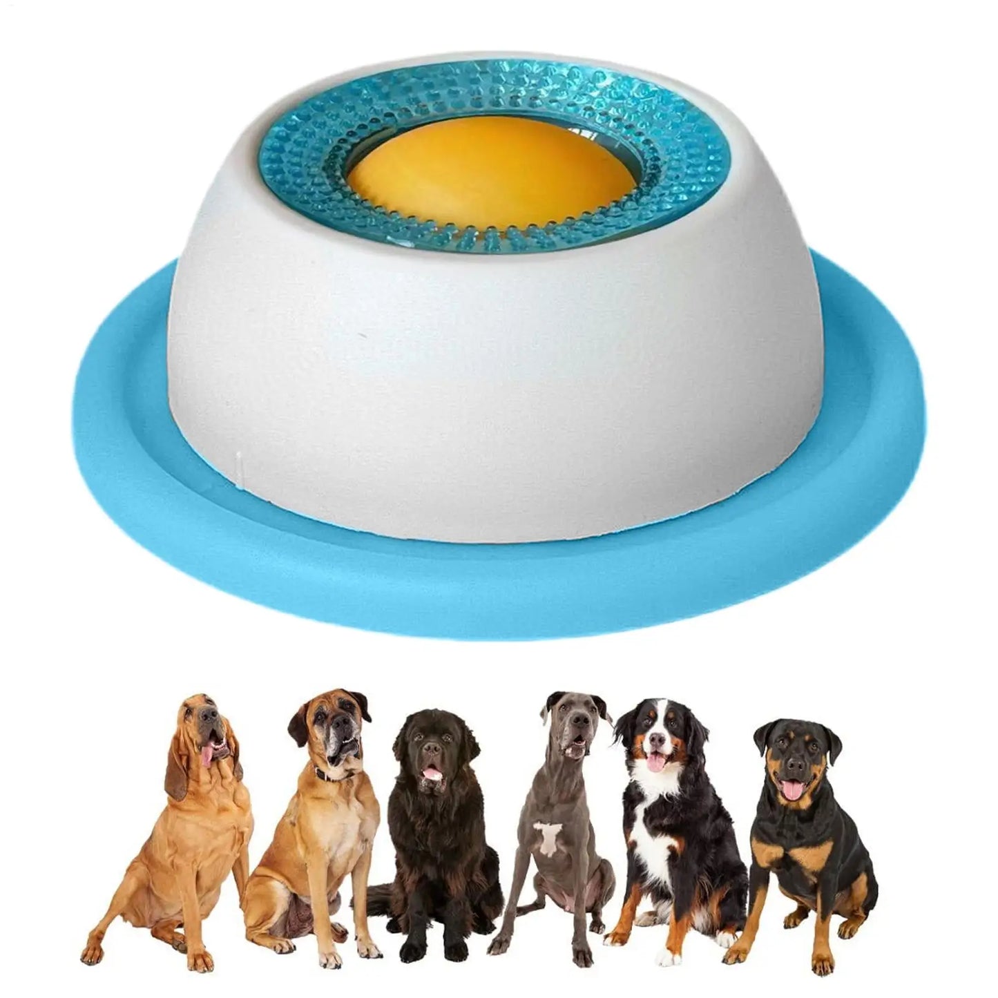 Puppy Treat Puzzle Feeder - PicklyCartPuppy Treat Puzzle FeederBlue