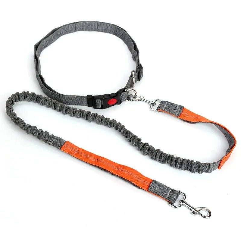 Adjustable Retractable Dog Leash Multi - functional Sports Traction Rope Hands - free Running Reflective Bungee Design - PicklyCartAdjustable Retractable Dog Leash Multi - functional Sports Traction Rope Hands - free Running Reflective Bungee Designorange