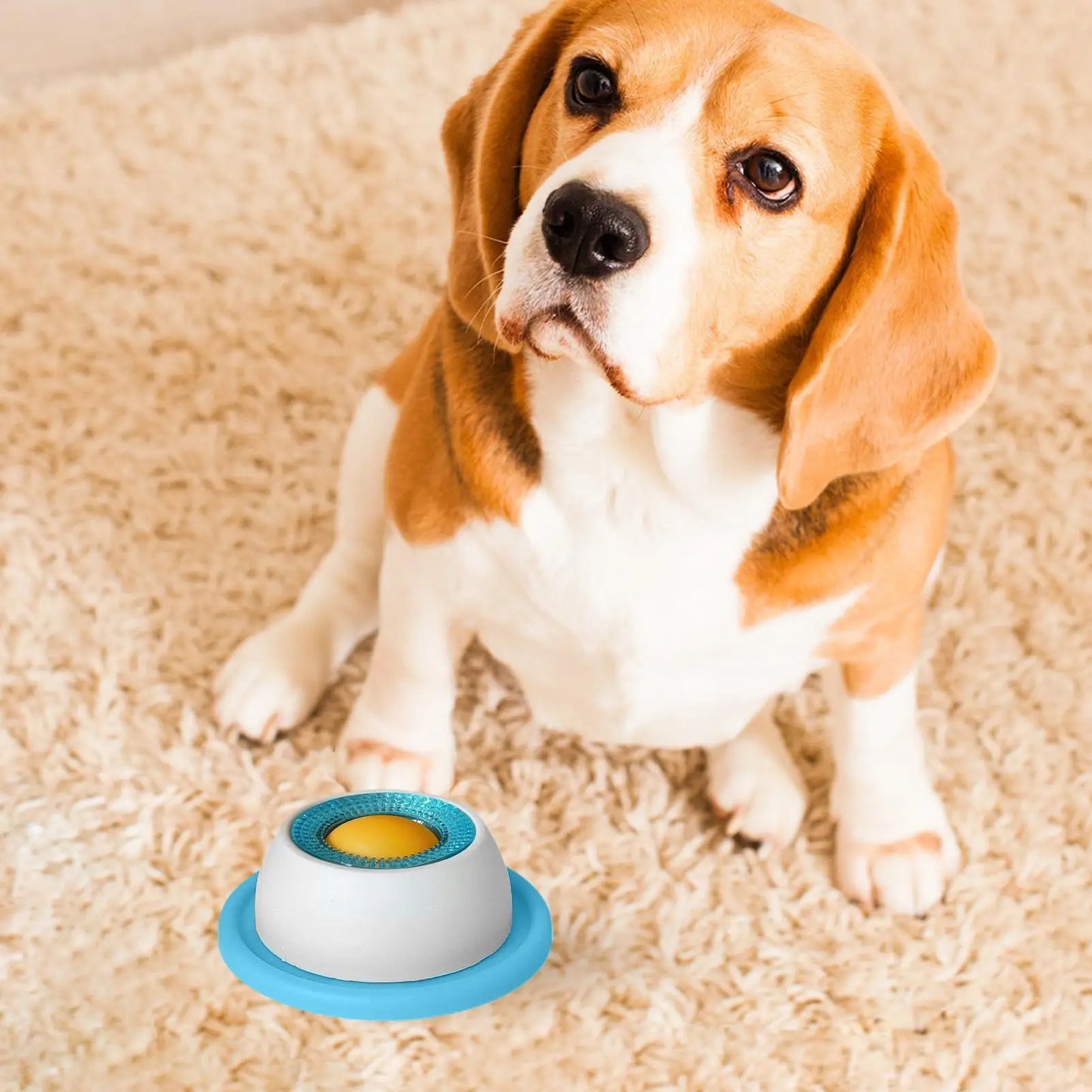 Puppy Treat Puzzle Feeder