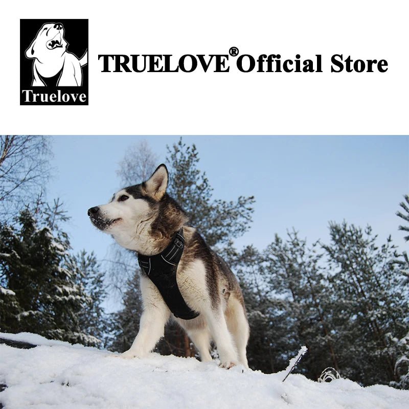 Reflective No-Pull Dog Harness - PicklyCartReflective No-Pull Dog Harnessblack