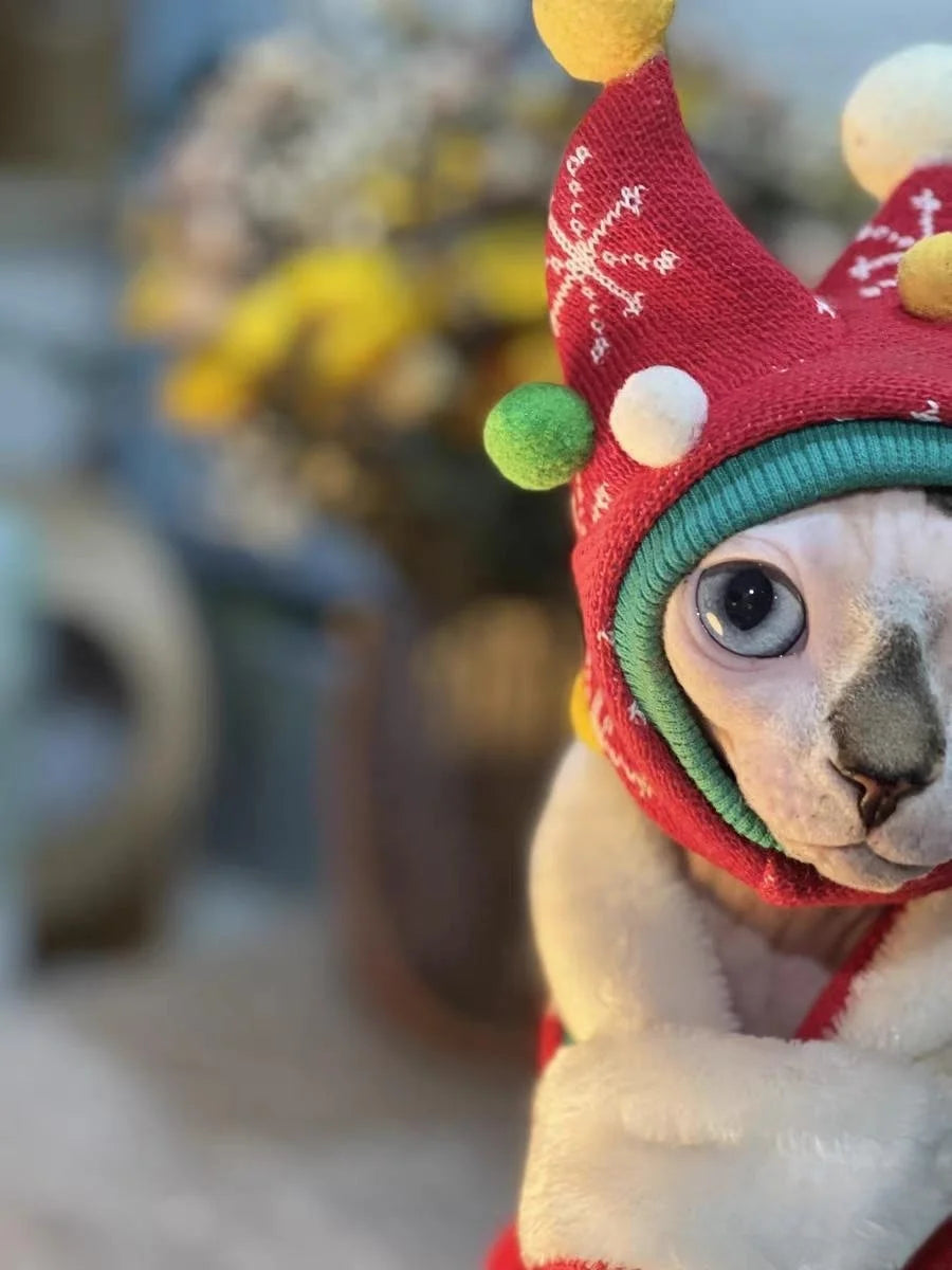Hairless Cat Fleece Sweater