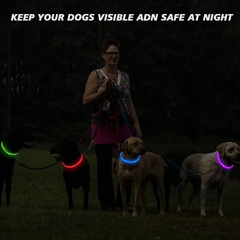 USB Rechargeable LED Dog Collar - PicklyCartUSB Rechargeable LED Dog Collarcolorful