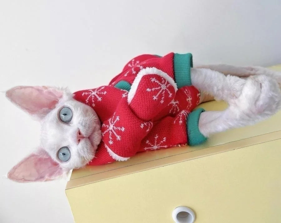 Hairless Cat Fleece Sweater