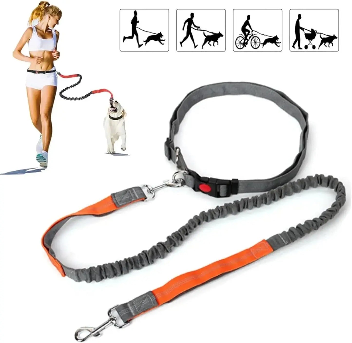 Adjustable Retractable Dog Leash Multi - functional Sports Traction Rope Hands - free Running Reflective Bungee Design - PicklyCartAdjustable Retractable Dog Leash Multi - functional Sports Traction Rope Hands - free Running Reflective Bungee Designorange