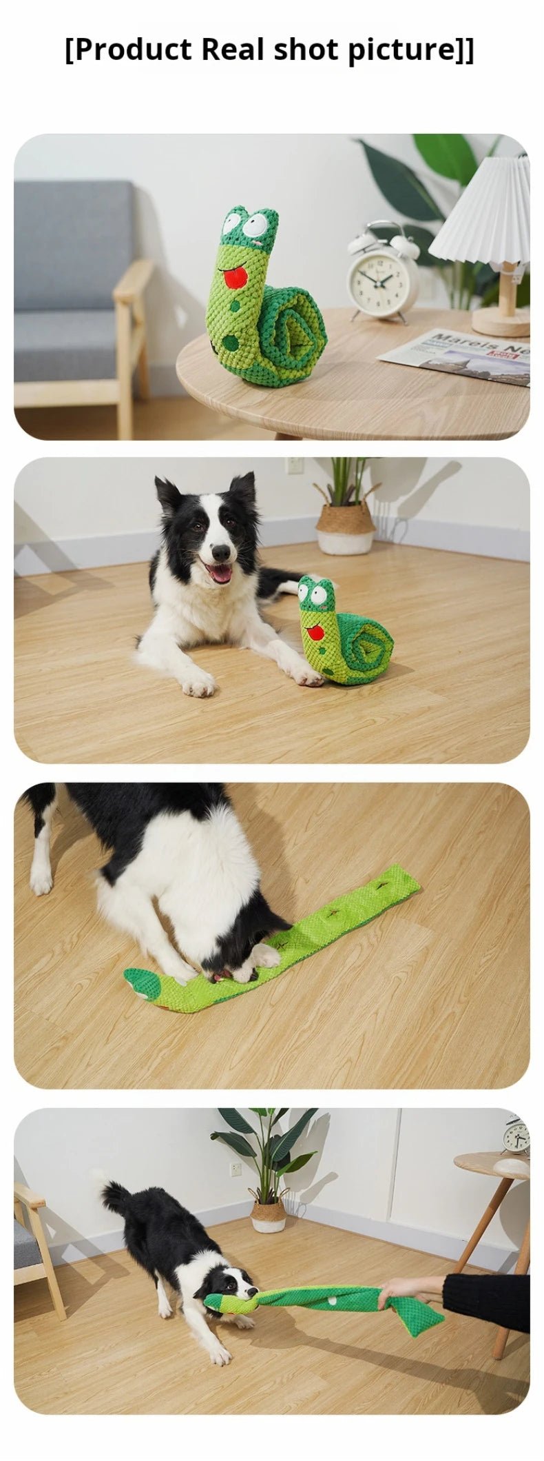 Squeaky Snail Puzzle Dog Toy - PicklyCartSqueaky Snail Puzzle Dog ToyGreen 1