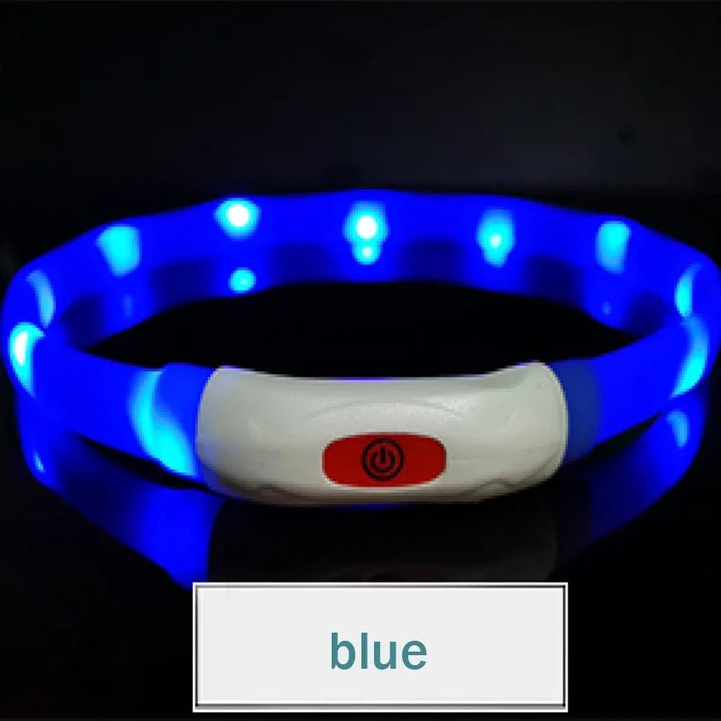 USB Rechargeable LED Dog Collar - PicklyCartUSB Rechargeable LED Dog Collarblue
