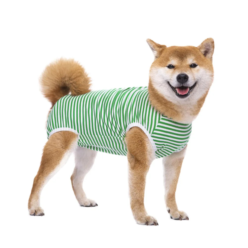 Striped Dog Recovery Suit