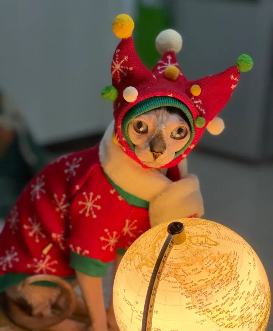 Hairless Cat Fleece Sweater