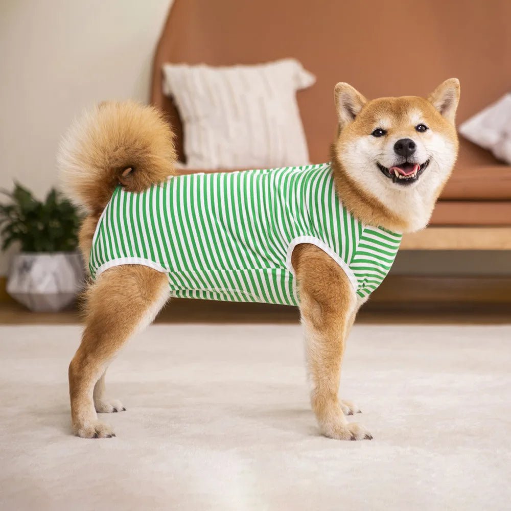 Striped Dog Recovery Suit - PicklyCartStriped Dog Recovery SuitGreen