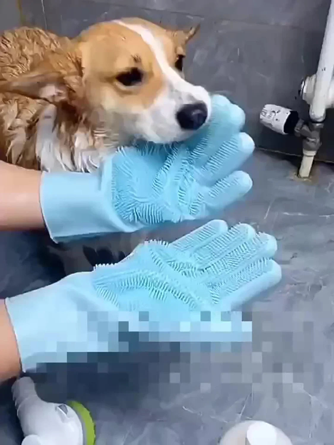 Silicone Pet Grooming, Bathing & Hair Removal Glove
