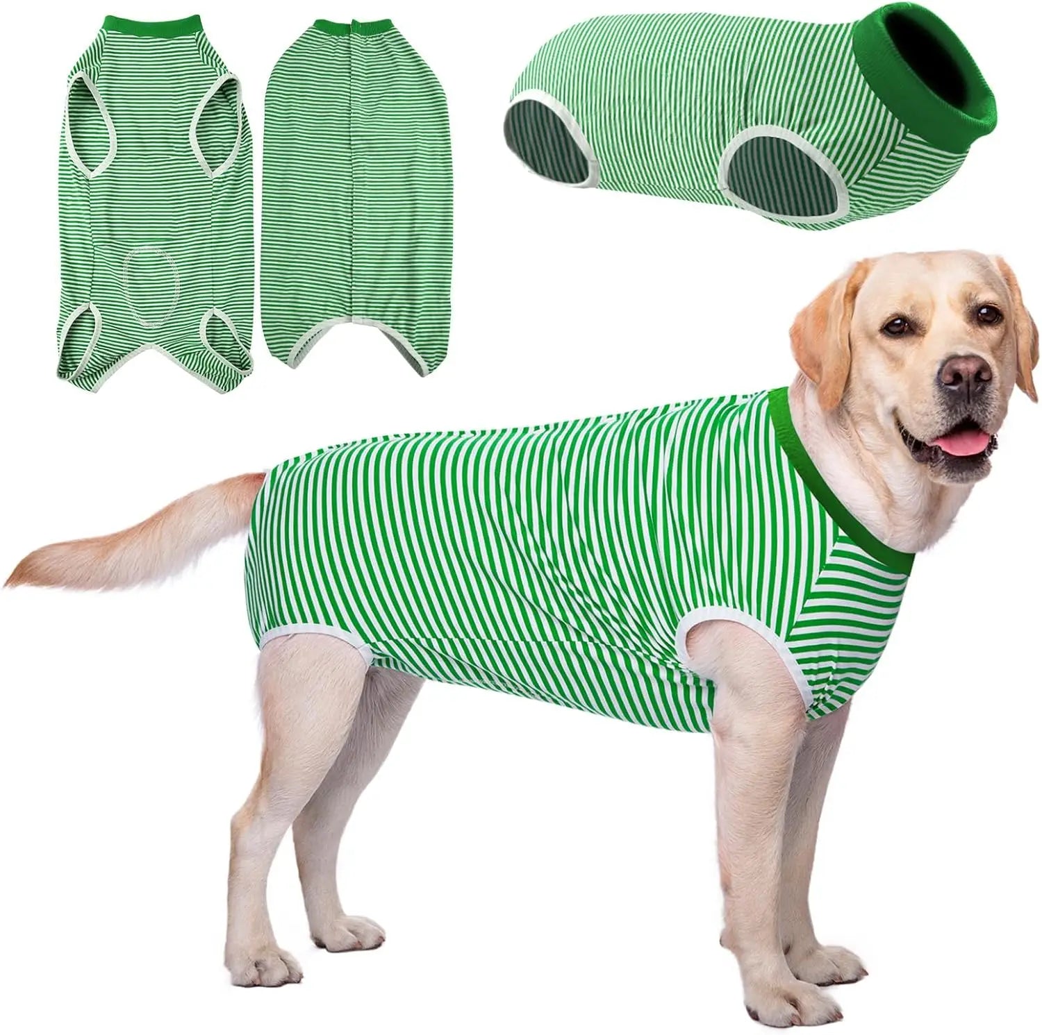 Striped Dog Recovery Suit - PicklyCartStriped Dog Recovery SuitGreen