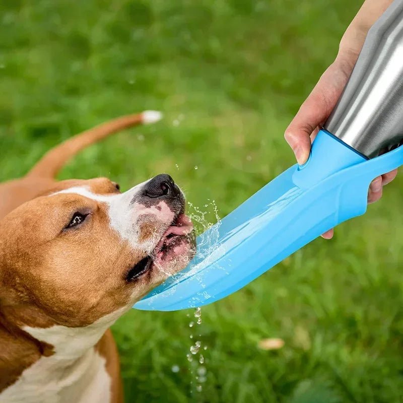 Puppy Travel Water Basin Pet Supplies for All Dogs Breeds - PicklyCartPuppy Travel Water Basin Pet Supplies for All Dogs BreedsGreen