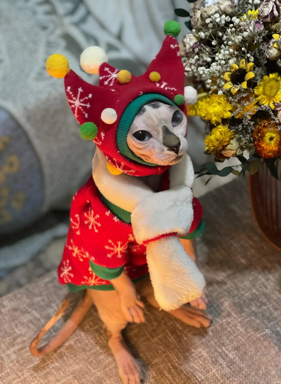 Hairless Cat Fleece Sweater