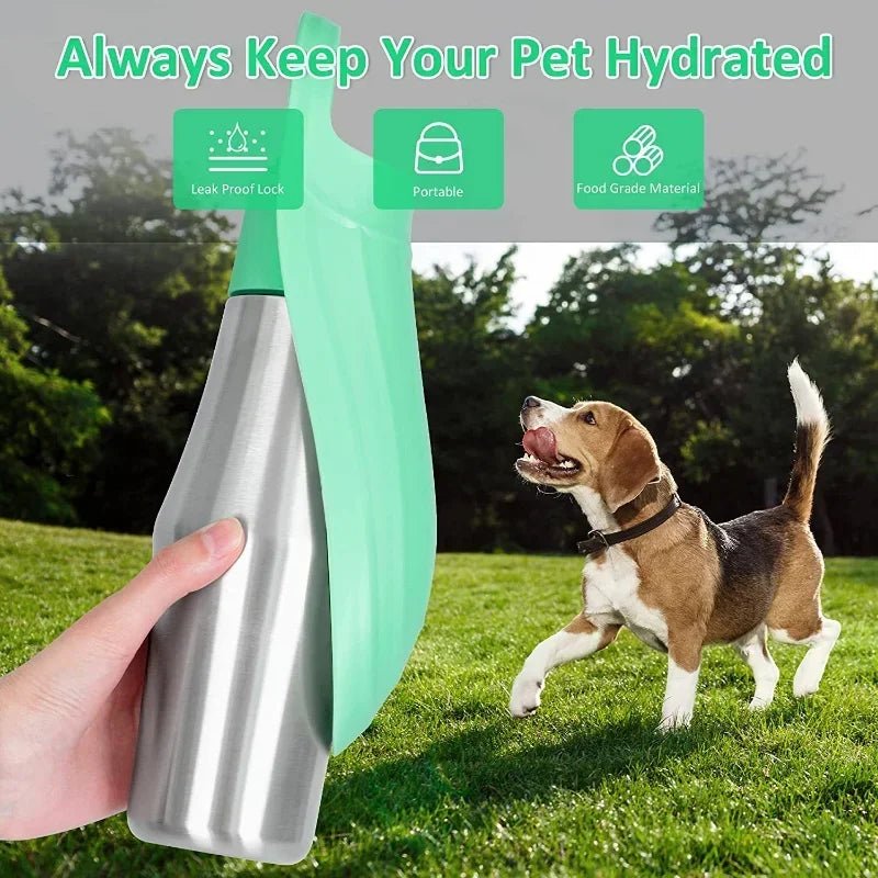 Puppy Travel Water Basin Pet Supplies for All Dogs Breeds - PicklyCartPuppy Travel Water Basin Pet Supplies for All Dogs BreedsGreen