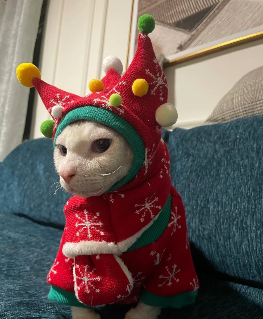 Hairless Cat Fleece Sweater - PicklyCartHairless Cat Fleece Sweateronly 1pc hat