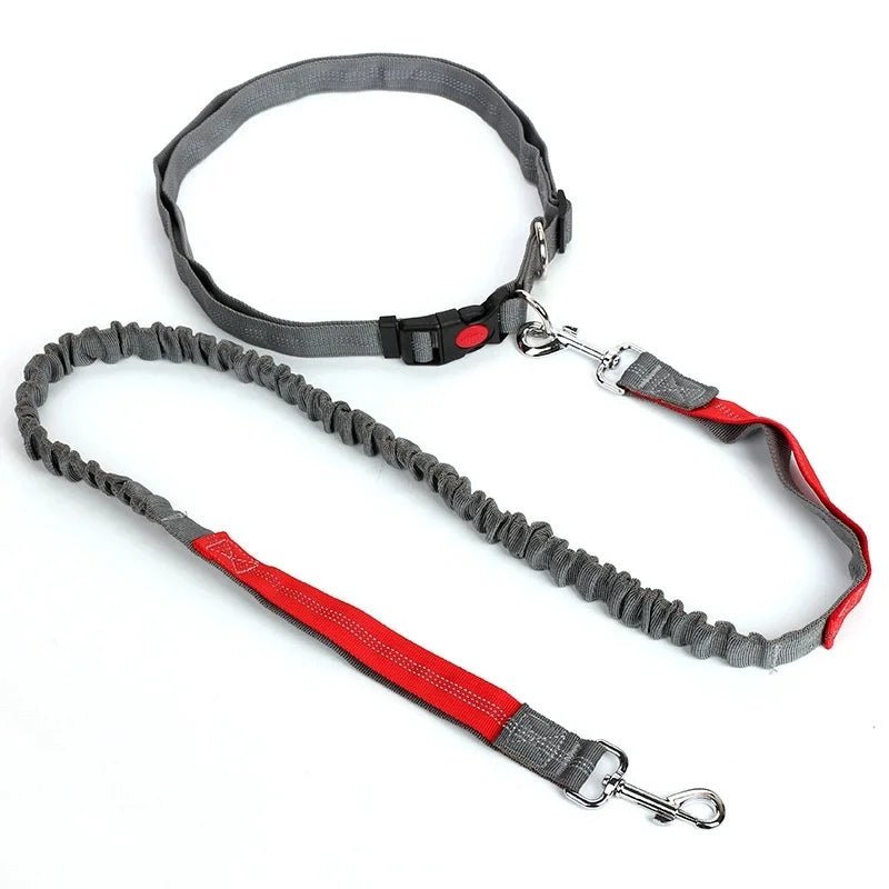 Adjustable Retractable Dog Leash Multi - functional Sports Traction Rope Hands - free Running Reflective Bungee Design - PicklyCartAdjustable Retractable Dog Leash Multi - functional Sports Traction Rope Hands - free Running Reflective Bungee Designred