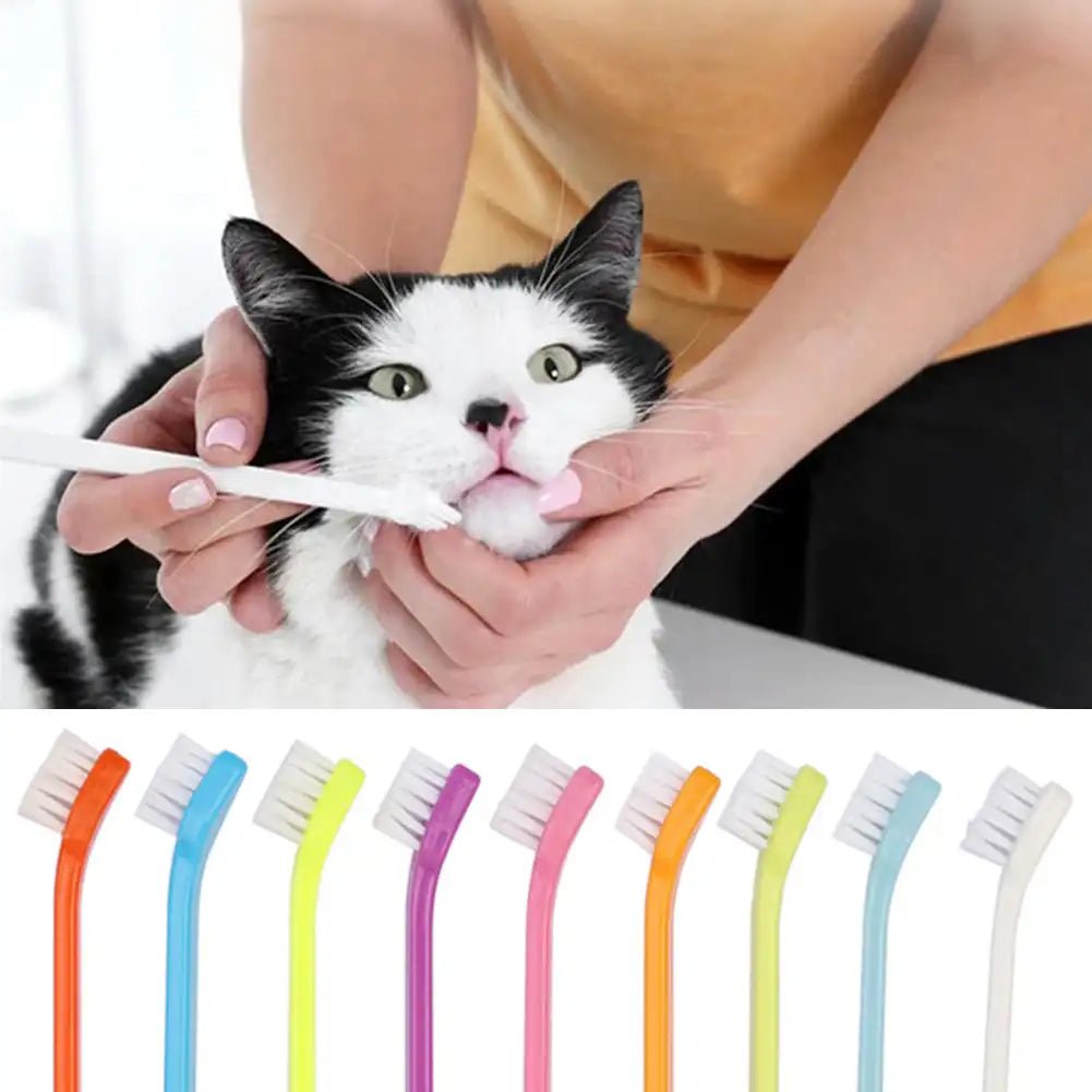 Pet Tooth & Tongue Cleaning Brush - PicklyCartPet Tooth & Tongue Cleaning BrushPink
