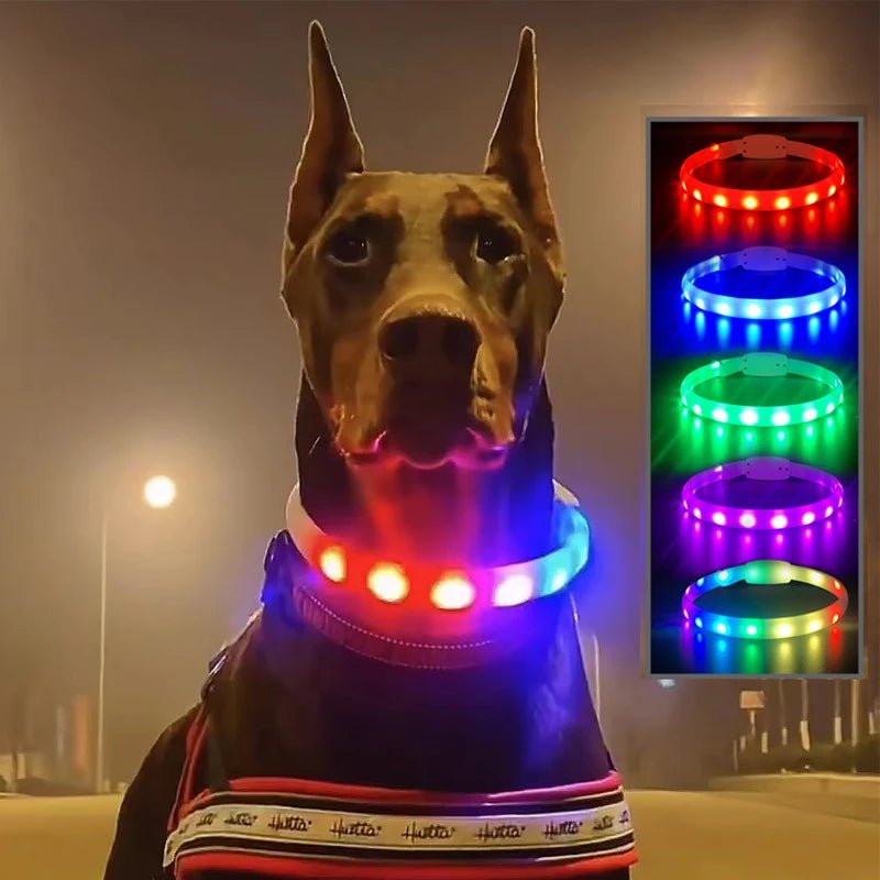 USB Rechargeable LED Dog Collar - PicklyCartUSB Rechargeable LED Dog Collarcolorful