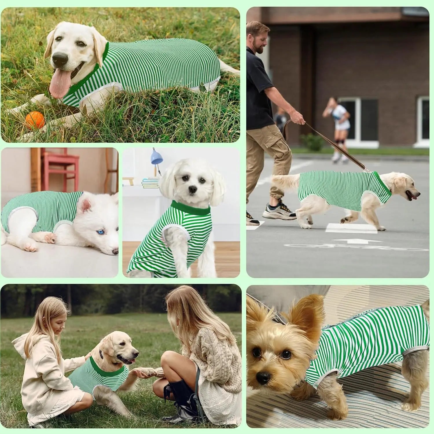 Striped Dog Recovery Suit - PicklyCartStriped Dog Recovery SuitGreen