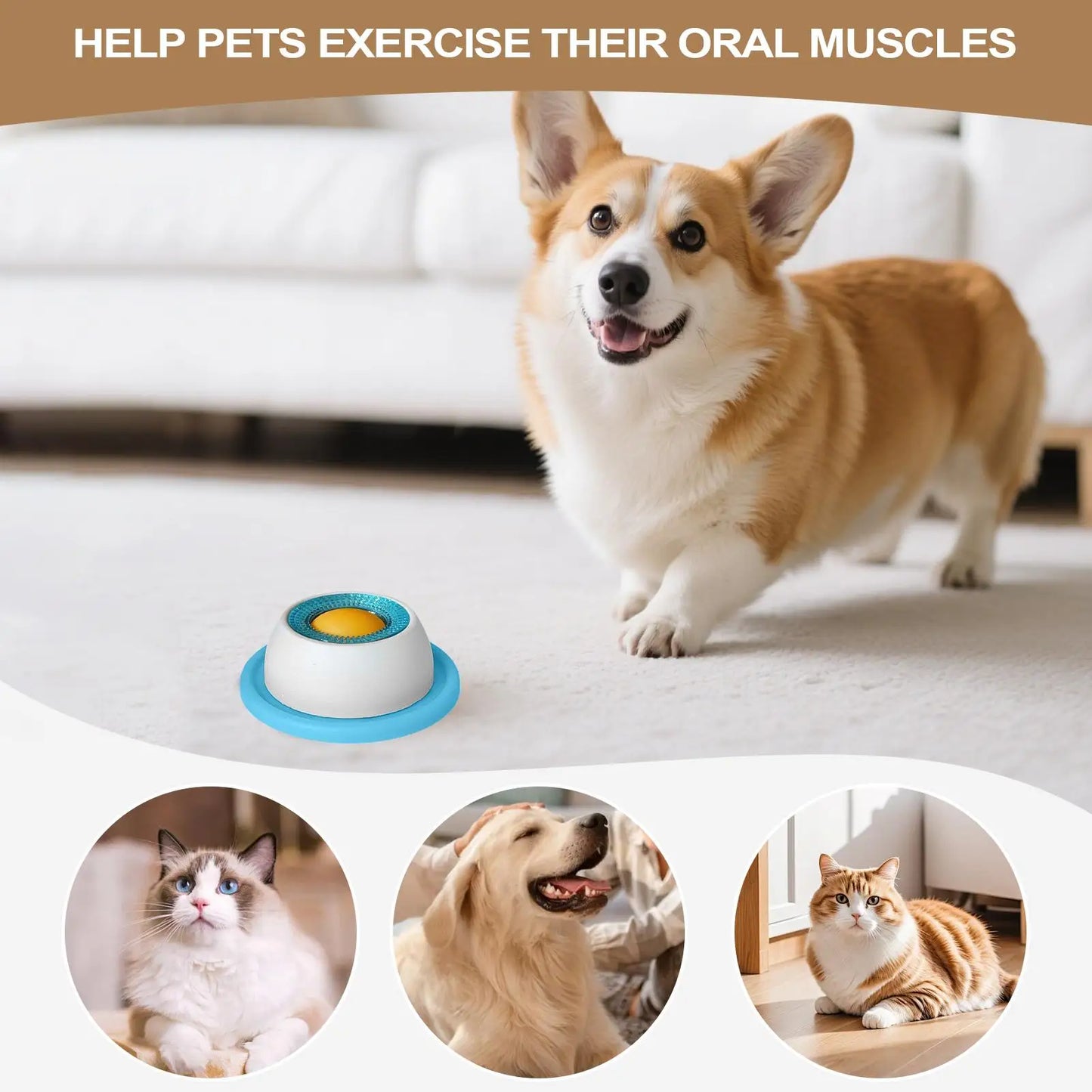 Puppy Treat Puzzle Feeder