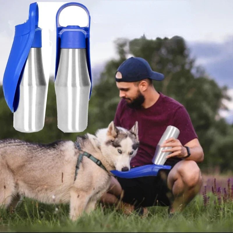 Puppy Travel Water Basin Pet Supplies for All Dogs Breeds - PicklyCartPuppy Travel Water Basin Pet Supplies for All Dogs BreedsGreen