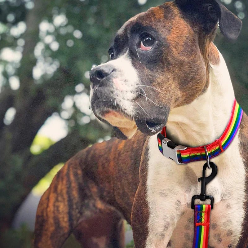 Forest Pattern Dog Collar - PicklyCartForest Pattern Dog CollarStyle 1