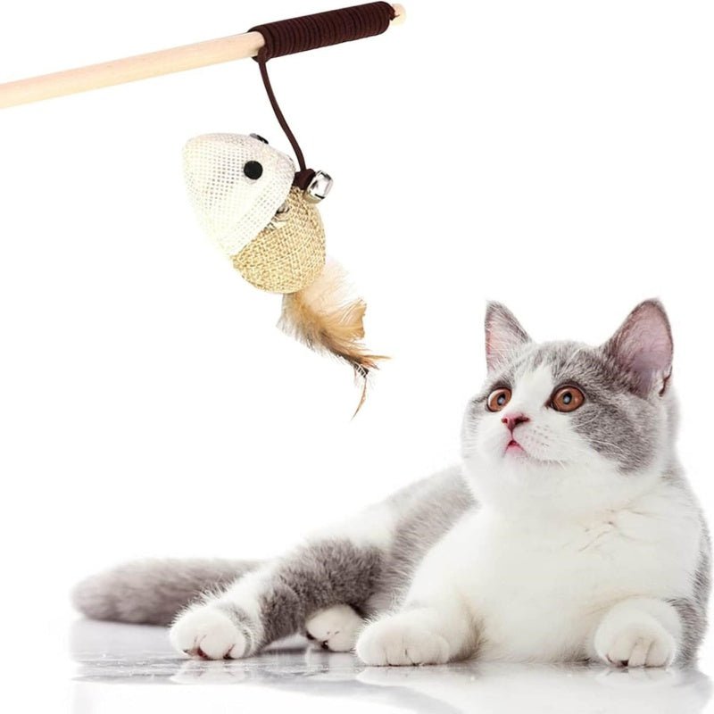 Colorful Feather Cat Teaser Wand - PicklyCart9d70f9da253bb8afab94ece78461e975Chick