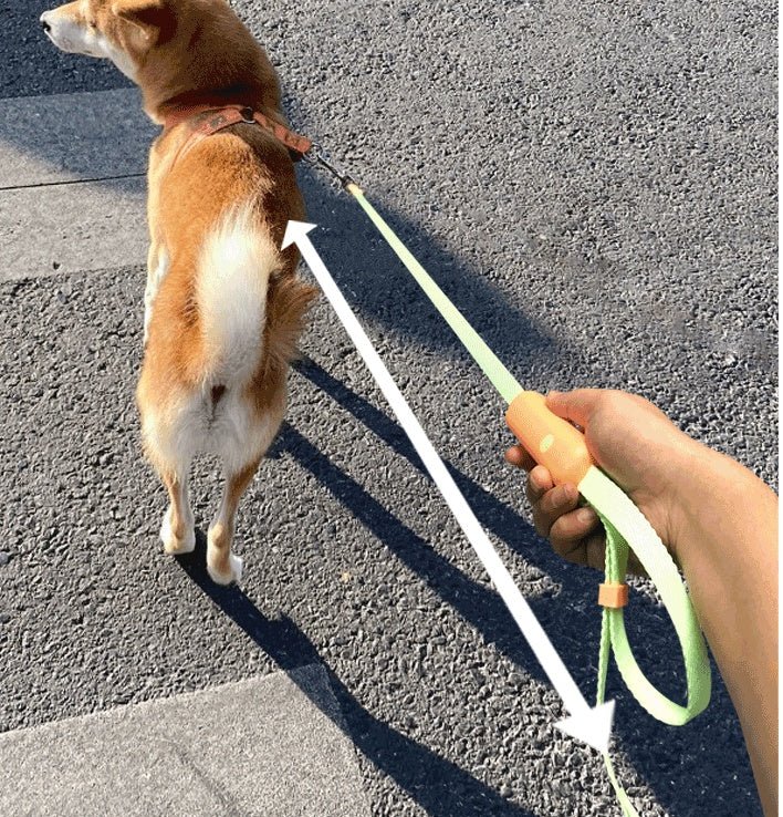 Pet Supplies Retractable Adjustable Dog Leash - PicklyCart1add605d930e2a774db0ffcd81499384Orange